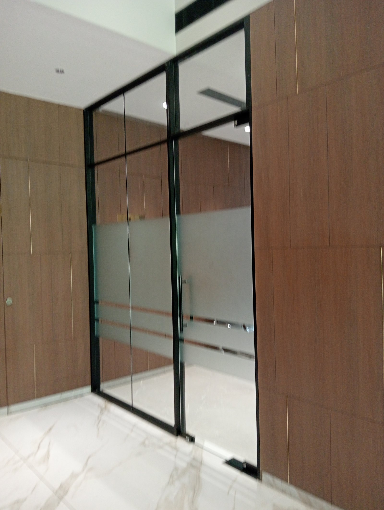 VP-SG-100 Glass Partition